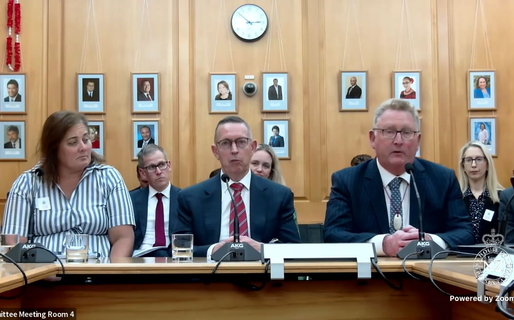 NZ central bank governor labels stablecoins ‘the biggest misnomers’