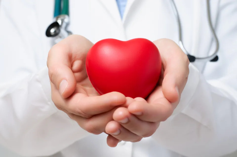 Why Shares of TransMedics Stock Plunged This Week