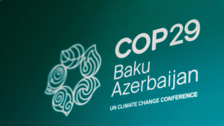 COP29 ‘incredible breakthrough’ for carbon markets, industry experts say
