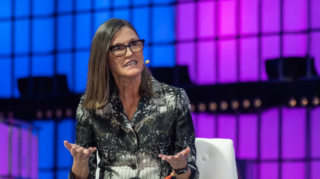Cathie Wood buys $30 million of under-the-radar AI stock