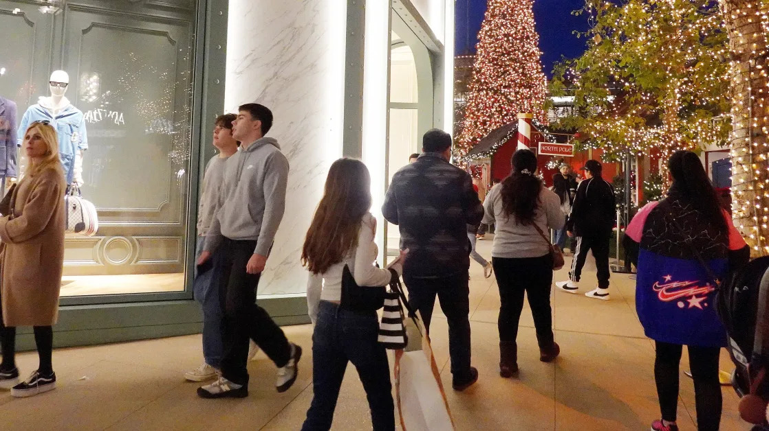 Another year of solid spending to boost consumer sector stocks in 2025, Goldman Sachs says