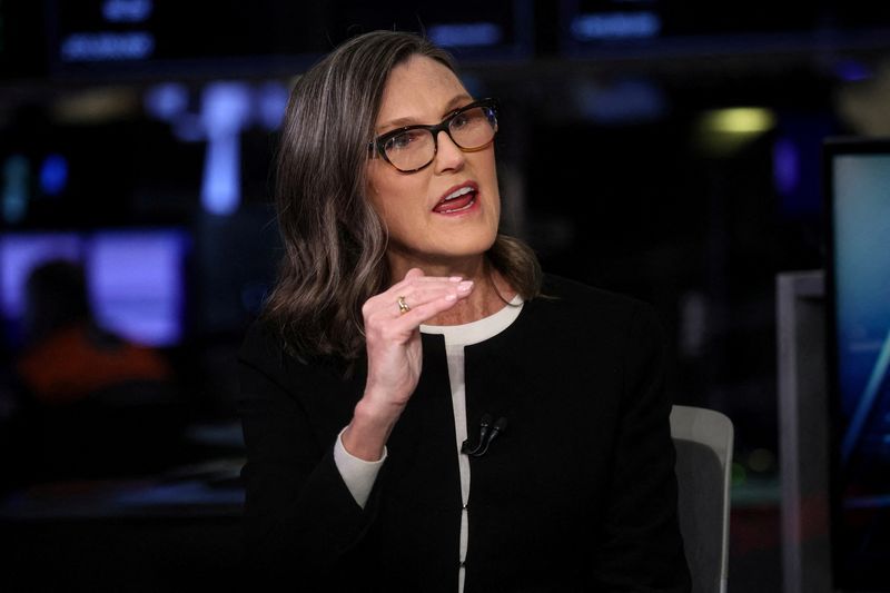 Ark's Cathie Wood calls for tax clarity as she rides 'Trump bump'