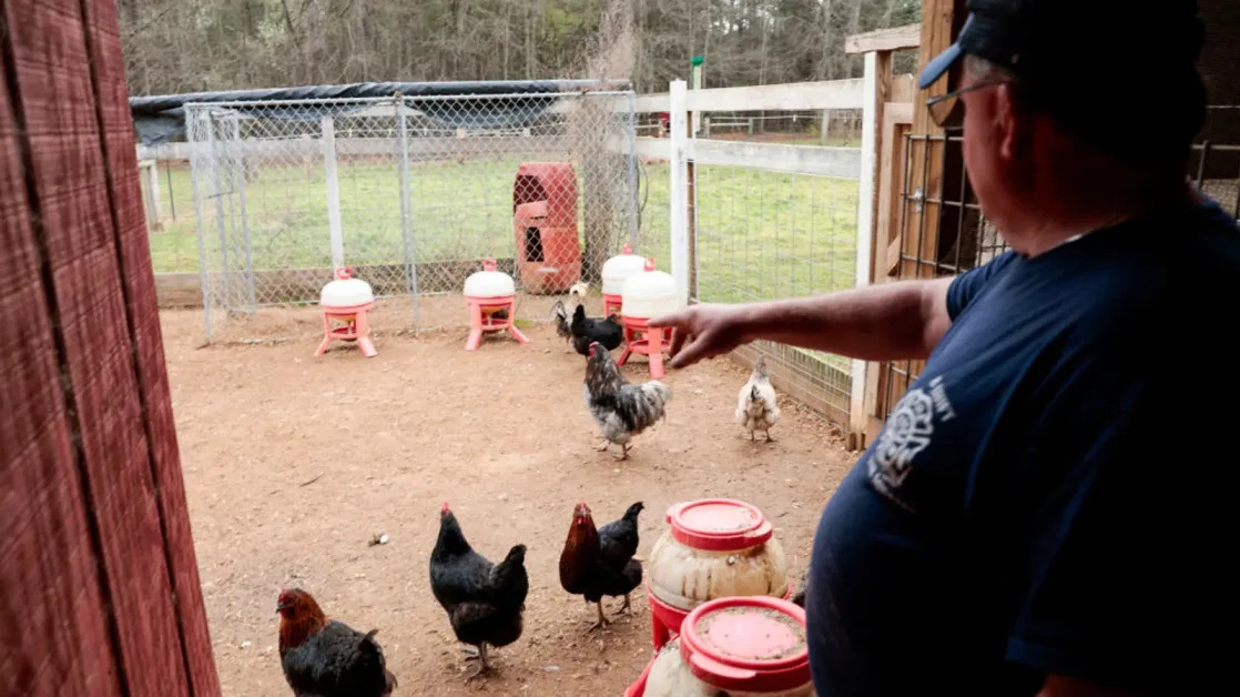 USDA withdraws rule defining unfair practices in meat markets