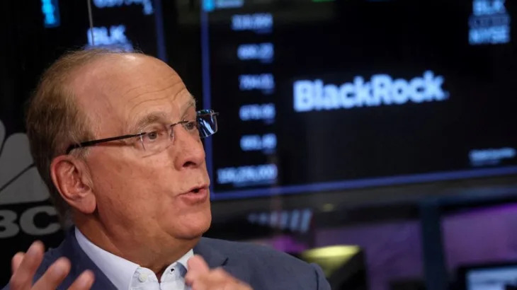BlackRock ties Fink's pay to private market expansion