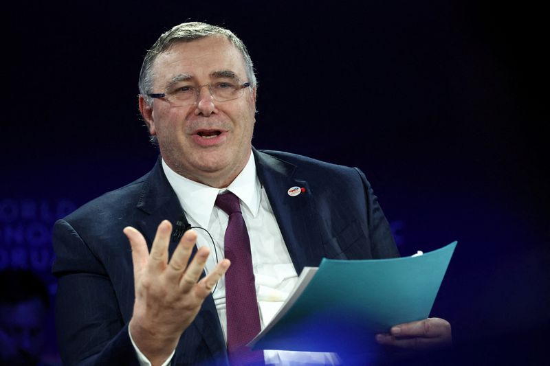 TotalEnergies chief says EU may wish to consider its own DOGE programme