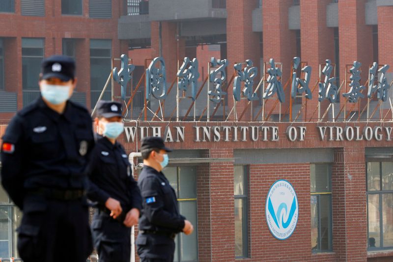 Chinese researchers find bat virus enters human cells via same pathway as COVID