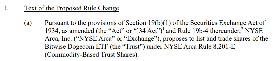 NYSE Arca proposes rule change to list Bitwise Dogecoin ETF