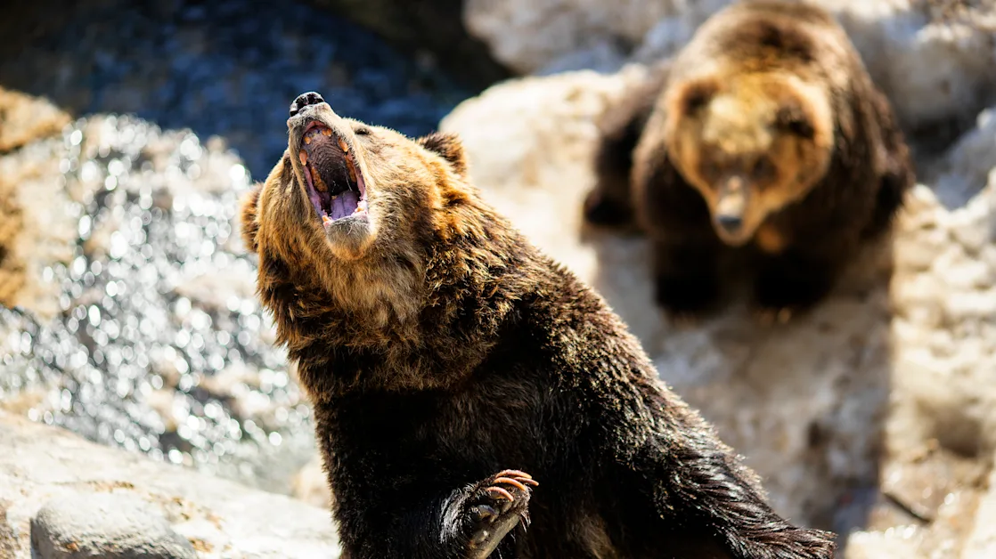 Stock market sell-off: Why these stocks are in the green amid the pain