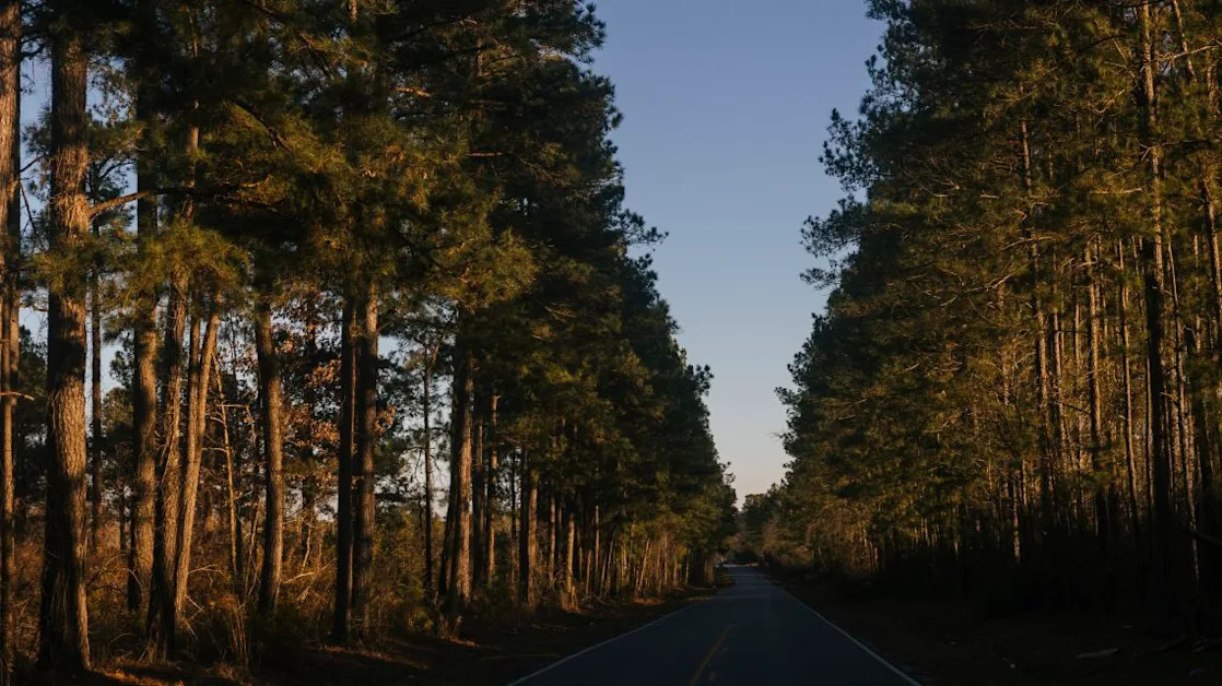 Made-in-U.S.A. Lumber Futures Are Coming to Wall Street