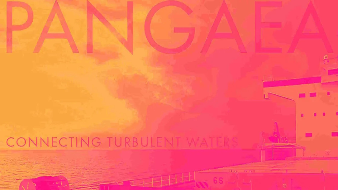 Pangaea (NASDAQ:PANL) Exceeds Q4 Expectations, Stock Soars