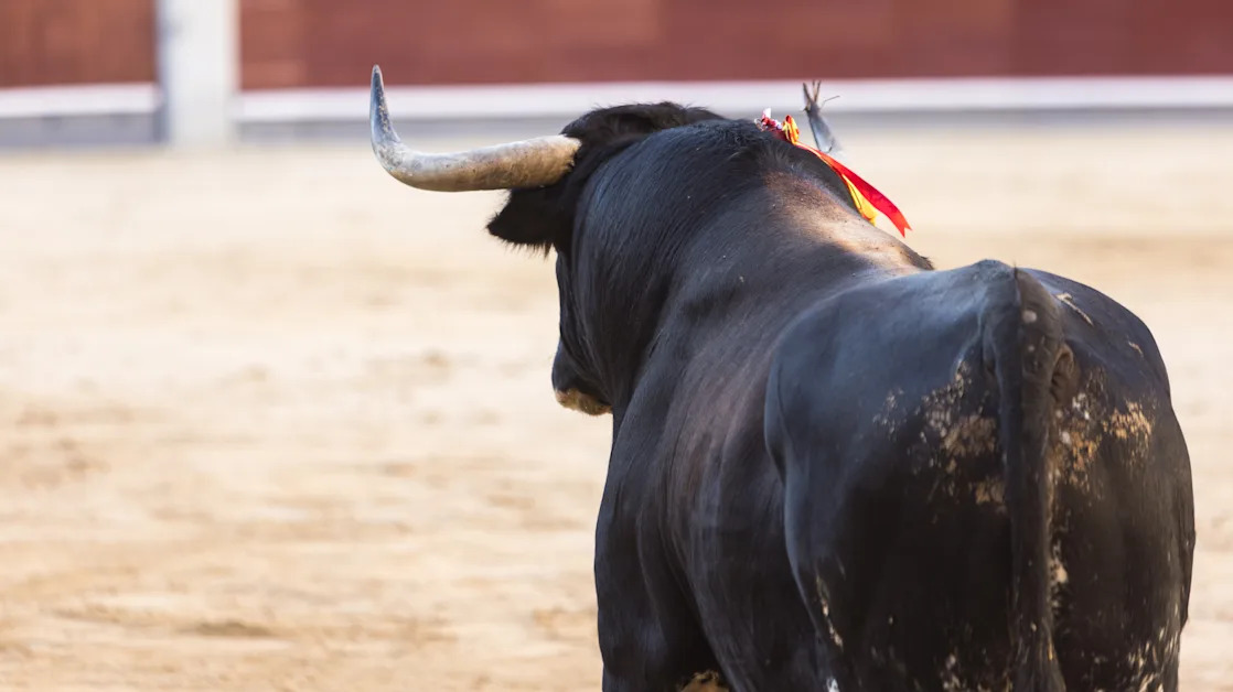 Why Goldman's 2025 stock market downgrade is actually bullish