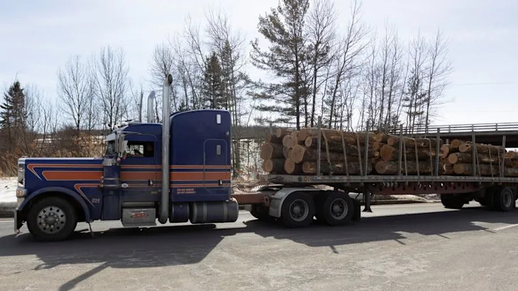 Tariffs may accelerate Canadian lumber industry's southward shift, hunt for new markets