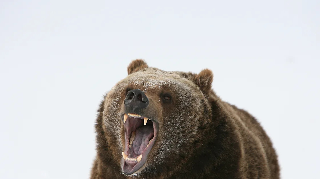 Why Barclays is the latest Wall Street bank to slash its outlook on stocks