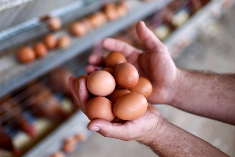 Global Eggs agrees to buy Hillandale Farms for $1.1 billion