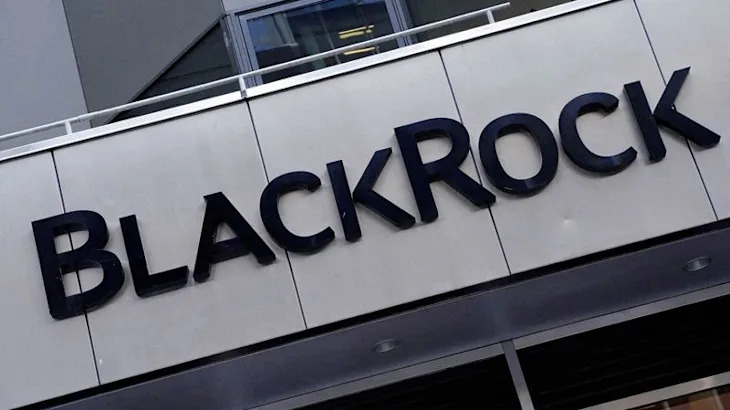 BlackRock assets hit record but Fink warns of market anxiety