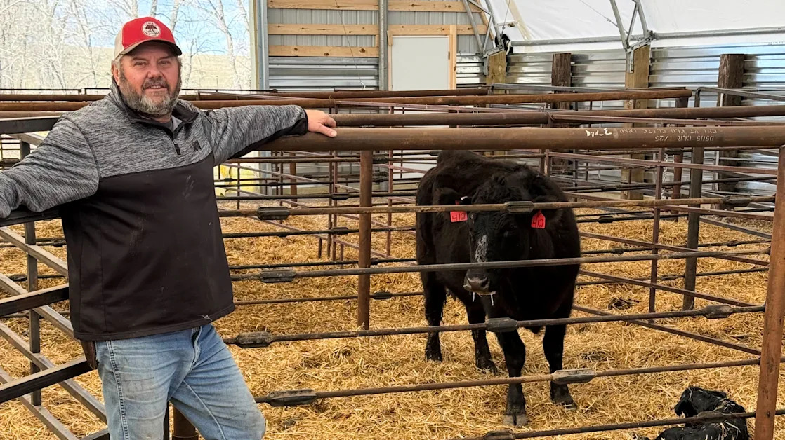 Ranchers hope Trump's tariffs boost demand for cattle but some fear market uncertainty