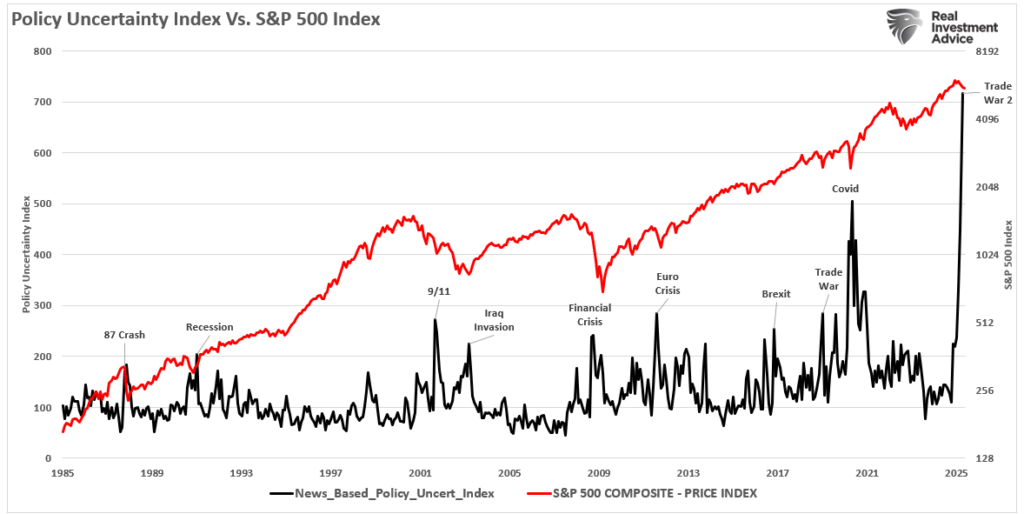 A Bear Market Rally?