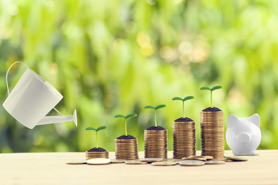 Investing in Dividend Stocks: The Stability of Warren Buffett's Picks