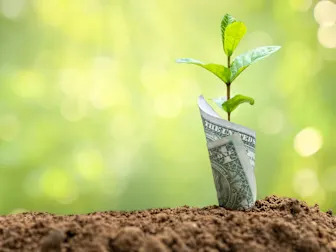 How much money should you keep in a high-yield savings account?