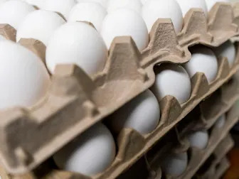 Why are egg prices falling?