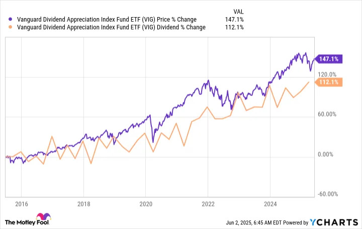 The Best Dividend ETFs for Your Portfolio