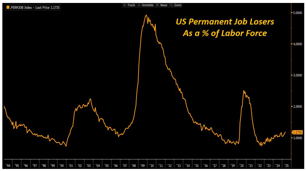 Permanent Job Losses Climb as Hiring Slows—Is a US Recession Brewing?