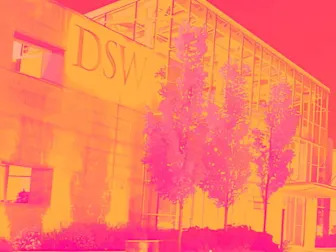 Why Designer Brands (DBI) Stock Is Trading Lower Today